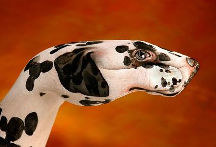 فن الرسم على اليدين "Hand Art"